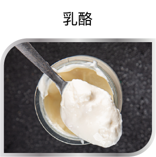乳酪